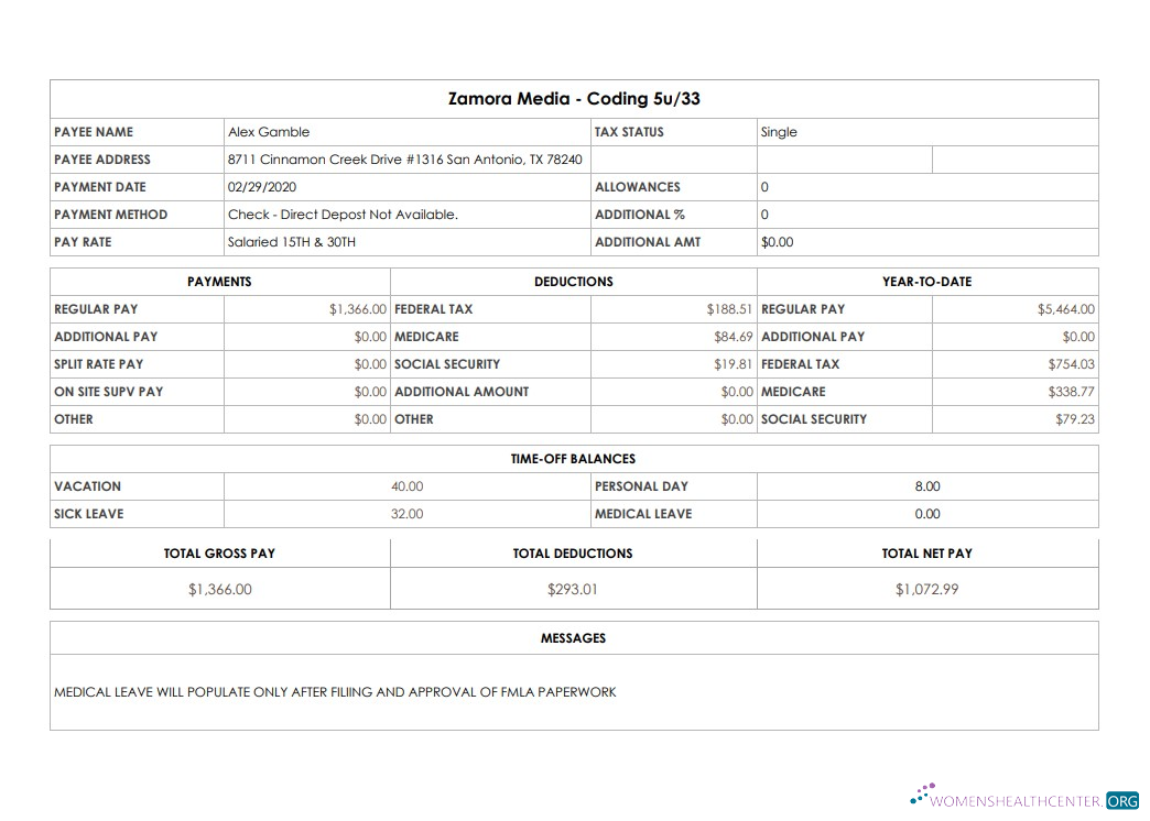 Download Zamora Media Coding pay stub Photoshop template
